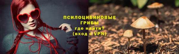 стафф Белокуриха