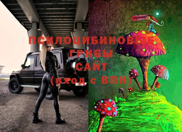 стафф Белокуриха