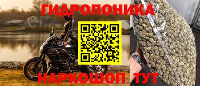 спиды Шелехов
