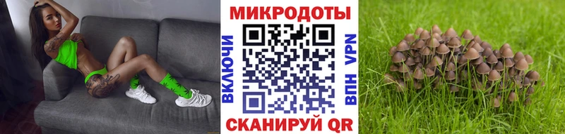 Псилоцибиновые грибы MAGIC MUSHROOMS  купить наркоту  Великие Луки 