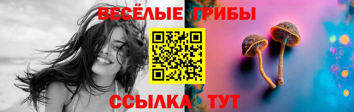 Галлюциногенные грибы Magic Shrooms  Вход с VPN  Псилоцибиновые грибы прущие грибы  Великие Луки 